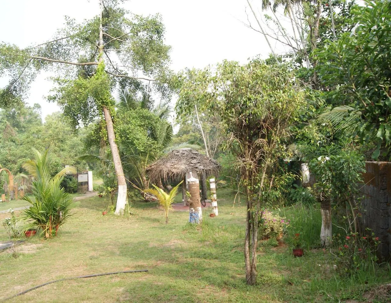 Angels' Homestay Marari Mararikulam 0*,  India