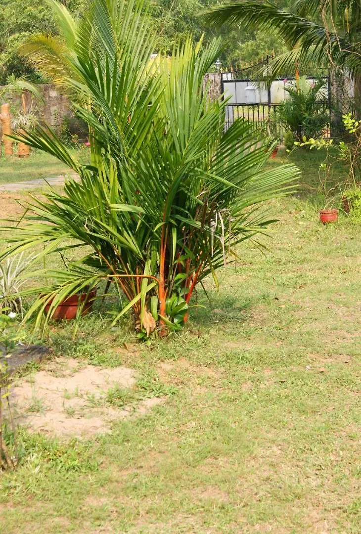 Angels' Homestay Marari Mararikulam 0*,